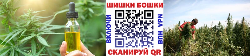 Canna-Cookies марихуана  Чекалин 