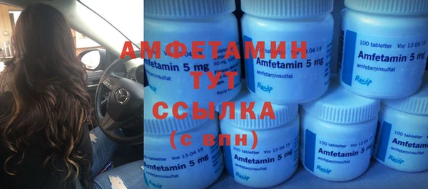 индика Верея