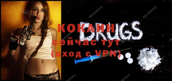 индика Верея