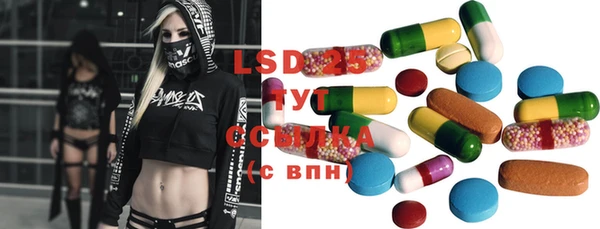 индика Верея