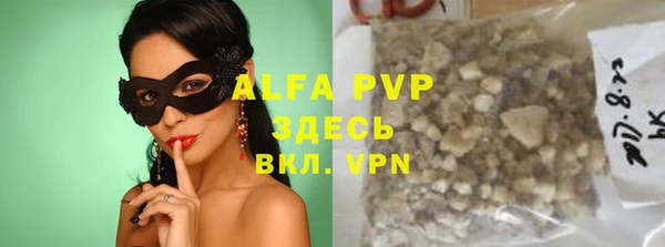 индика Верея