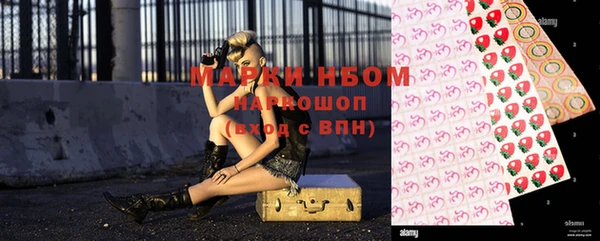 индика Верея
