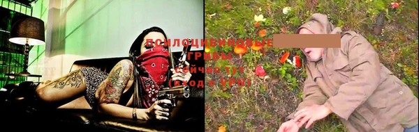 индика Верея