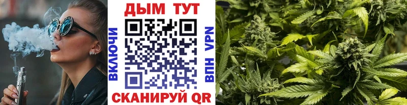 Каннабис MAZAR Чекалин